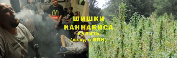 a pvp Белокуриха