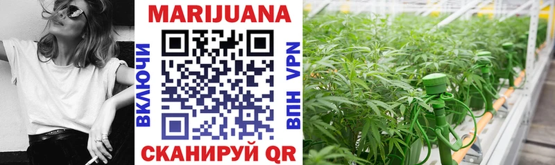 MEGA вход  где купить наркоту  Дагестанские Огни  Марихуана White Widow 